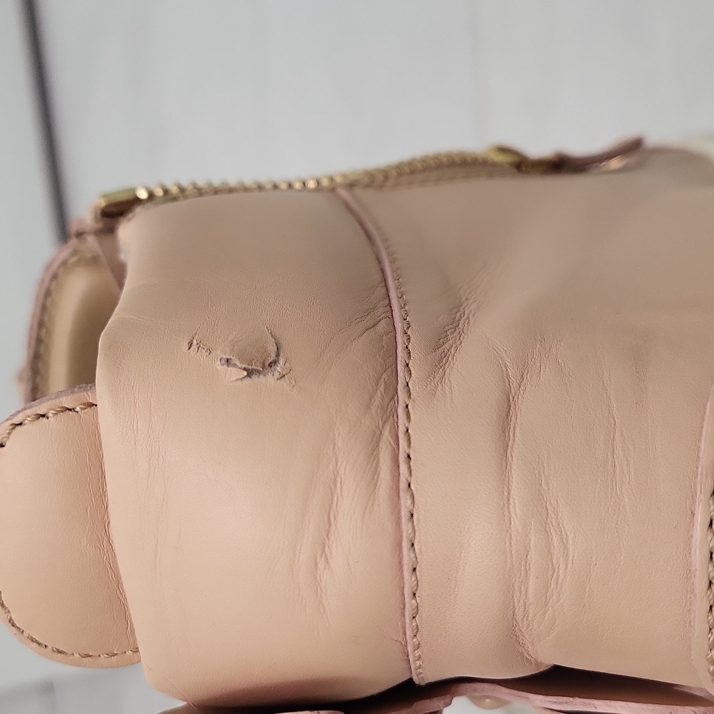 Giuseppe Zanotti - Picture 7 of 7